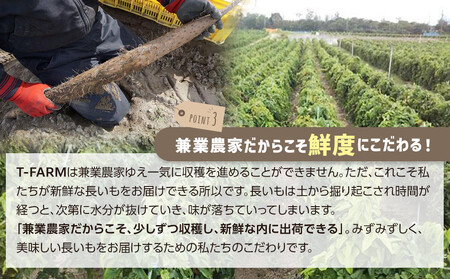 753.【ご自宅用】鳥取特産品 砂丘ながいも(カット)3kg