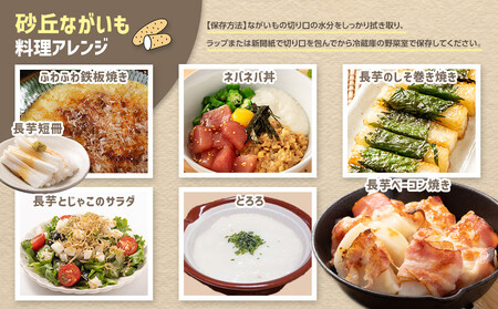 753.【ご自宅用】鳥取特産品 砂丘ながいも(カット)3kg