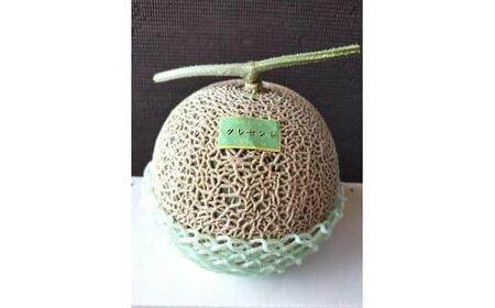 785.【先行予約】青肉メロンの新星「クレセントメロン」うれしい！3~4玉入　※2026年７月中旬より順次発送