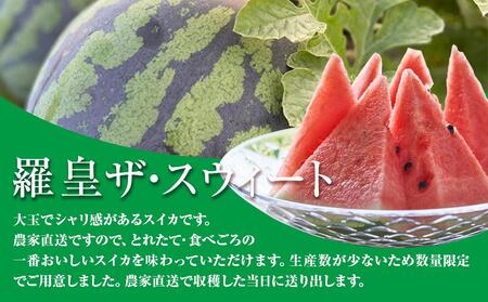 【2026年産先行予約】大玉スイカ『羅皇ザ・スウィート』◇2026年7月上旬～7月中旬頃に順次発送 | スイカ