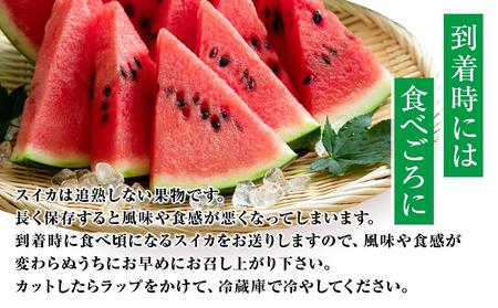 【2026年産先行予約】大玉スイカ『羅皇ザ・スウィート』◇2026年7月上旬～7月中旬頃に順次発送 | スイカ
