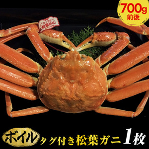 【ボイル】タグ付き松葉ガニ　中1枚（700g前後）◇【着日指定不可】 ※2024年11月上旬～2025年3月下旬頃に順次発送予定《かに カニ 蟹》