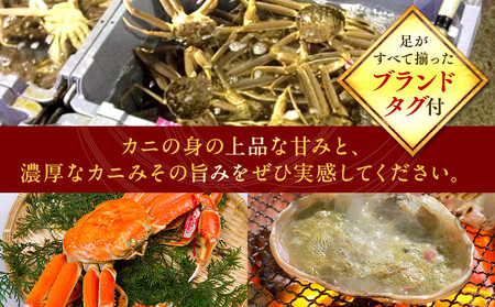 【ボイル】タグ付き 松葉ガニ 大1枚（800g前後） | 松葉 カニ 訳あり活 特大 美味しさに 訳あり 不揃い でないたっぷり【着日指定不可】※2025年11月上旬～2026年3月下旬頃に順次発送予定