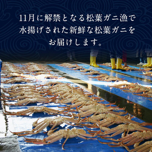 【活】訳あり松葉ガニ　2枚◇ ※2024年11月上旬～2025年3月下旬頃に順次発送予定 ※着日指定不可