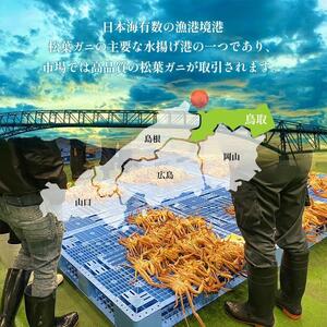 117. 訳あり  足が折れた 蒸し 松葉ガニ のセット 1.5kg前後（枚数目安2~6枚） ※2026年11月上旬～2027年3月上旬頃に順次発送予定  | カニ 松葉ガニ 蟹