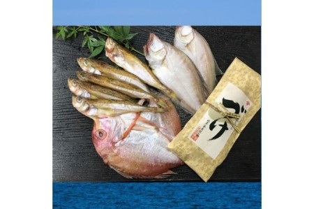 日本海の干物と漬け丼セット 梅(通年)【高間商店】