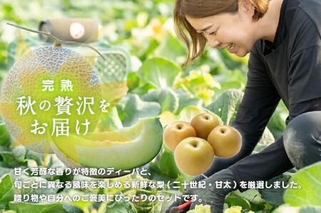 【先行予約】924.【ふるさと納税】【青肉系メロン】ディーバ（メロン）と旬の梨セット※離島への配送不可（北海道、沖縄本島は配送可能）