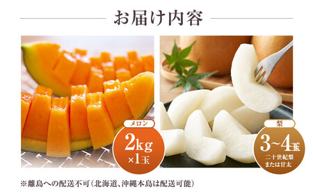 【先行予約】925.【ふるさと納税】【赤肉系メロン】プリモレッド (メロン) と旬の梨セット※離島への配送不可（北海道、沖縄本島は配送可能）