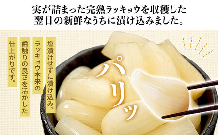 413.ラッキョウ漬け　（ビン入り：110g×2本・180g×1本　袋入り：180g×1袋）