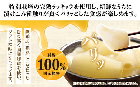 412.蜂蜜入りラッキョウ漬け　（ビン入り：400g×2本　袋入り：180g×2袋）　※2026年10月中旬～12月下旬頃に順次発送予定