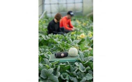 【先行予約】808.【赤肉系メロン】プリモレッド×２玉（1玉2kg前後×2玉）※離島への配送不可