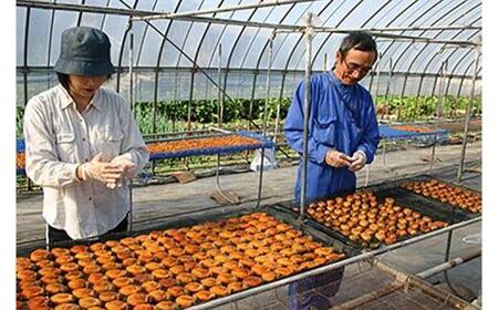 919.ころ柿 10個入り