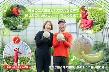 【先行予約】920.【青肉系メロン】ディーバ×２玉（1玉2kg前後×2玉）※離島への配送不可（北海道、沖縄本島は配送可能）