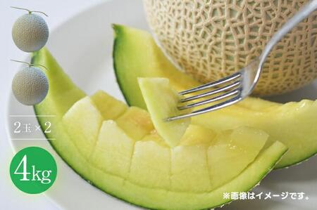 【先行予約】920.【青肉系メロン】ディーバ×２玉（1玉2kg前後×2玉）※離島への配送不可（北海道、沖縄本島は配送可能）