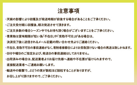 955.【先行予約】【訳あり】シャインマスカット(350g前後)と旬の梨(5玉)セット ※8月下旬頃~9月中旬頃に順次発送【ぶどう マスカット 葡萄 なし 果物 フルーツ くだもの 鳥取県 北栄町】