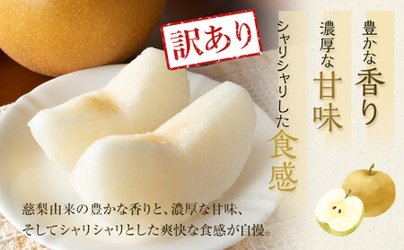 【先行予約】【訳あり】新興梨 4kg（4～16玉前後）※2026年10月上旬～11月下旬頃に順次発送予定 【梨 なし 果物 フルーツ くだもの 鳥取県産 北栄町 おすすめ 人気】