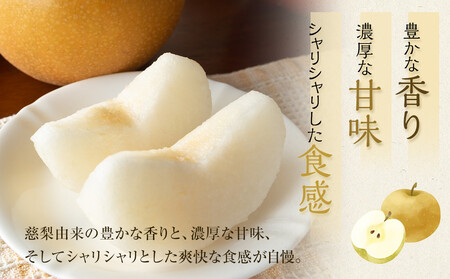 【先行予約】新興梨 秀 約4Kg(4~16玉前後) ※10月~11月下旬頃に順次発送予定 【梨 なし 果物 フルーツ くだもの 鳥取県産 北栄町 おすすめ 人気】