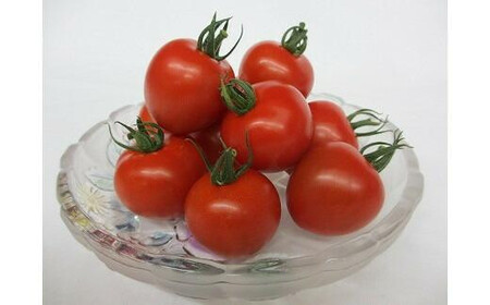 1013.【先行予約】【JA】ナンチューうまいトマト(中玉トマト) A・250g×8袋 ※着日指定不可 ※離島への配送不可 ※2026年9月上旬頃~10月末頃に順次発送予定