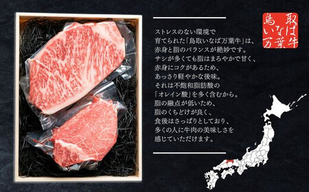 962.【定期便6回】鳥取 いなば万葉牛　シャトーブリアン・ サーロイン ステーキ セット(各150ｇ) | シャトーブリアン