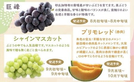 1015.【先行予約 2026年8月以降発送】 鳥取県北栄町から旬の美味しさをお届け！特産づくし【5回定期便】