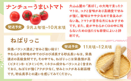 1015.【先行予約 2026年8月以降発送】 鳥取県北栄町から旬の美味しさをお届け！特産づくし【5回定期便】