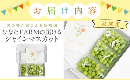 【家庭用】シャインマスカット 1kg ひなたFARM | シャインマスカット