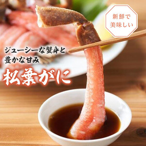 1051.【2025年12月～2026年1月発送】特撰 松葉がに （なま）【訳あり】700g超のサイズ 食べ応えあり 2杯 | カニ 松葉がに