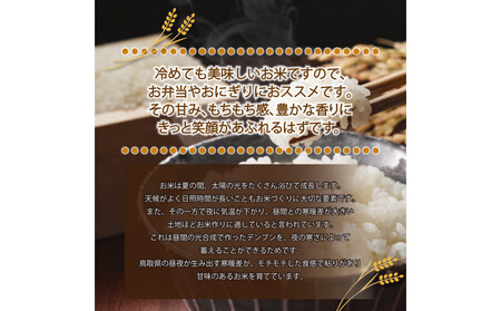 1804.令和7年産 山崎農園こしひかり精米 5kg