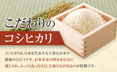 1097.【定期便全6回】【令和7年産新米】【食味鑑定士厳選】 鳥取県産 コシヒカリ10kg (5kg×2袋) 合計 60kg