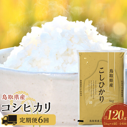 1099.【定期便全6回】【令和7年産】【食味鑑定士厳選】 鳥取県産 コシヒカリ20kg (5kg×4袋) 合計 120kg