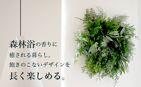 677.おおきなグリーンリース――季節限定