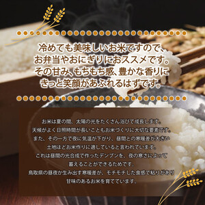 1106.令和7年産　きぬむすめ玄米 5kg