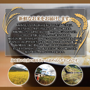 1107.令和7年産 大上農園きぬむすめ玄米 10kg