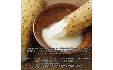 1114.砂丘ながいも3kg