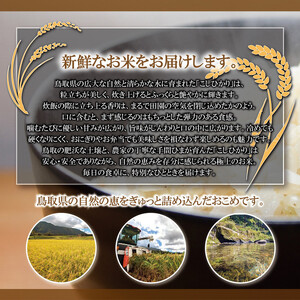 1109.令和7年産 山崎農園こしひかり玄米 10kg