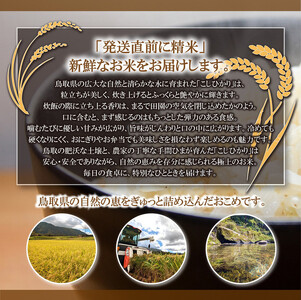 令和6年産こしひかり精米5kg