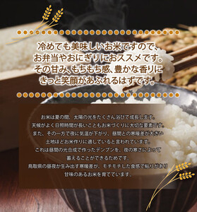 令和6年産こしひかり精米5kg