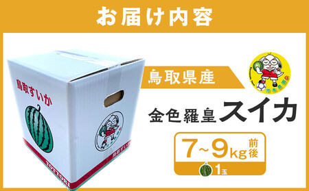 1116.鳥取県産 金色羅皇スイカ 1玉 7-9キロ前後（こちらの返礼品は、大栄西瓜ではありません）