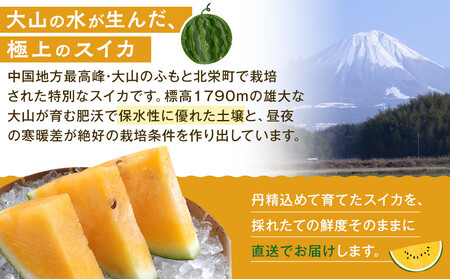 1116.鳥取県産 金色羅皇スイカ 1玉 7-9キロ前後（こちらの返礼品は、大栄西瓜ではありません）