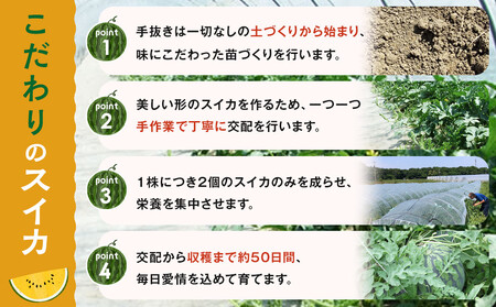 1116.鳥取県産 金色羅皇スイカ 1玉 7-9キロ前後（こちらの返礼品は、大栄西瓜ではありません）