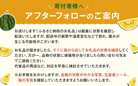 1116.鳥取県産 金色羅皇スイカ 1玉 7-9キロ前後（こちらの返礼品は、大栄西瓜ではありません）