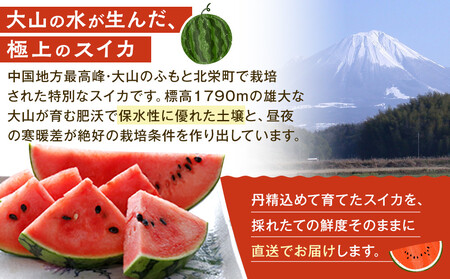 1118.旬の味覚を2度楽しめる、特別な鳥取スイカセット（こちらの返礼品は、大栄西瓜ではありません）