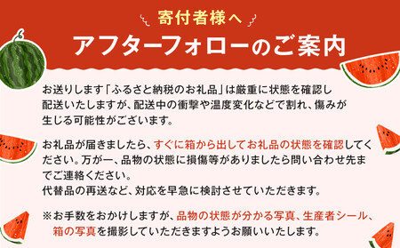 1118.旬の味覚を2度楽しめる、特別な鳥取スイカセット（こちらの返礼品は、大栄西瓜ではありません）