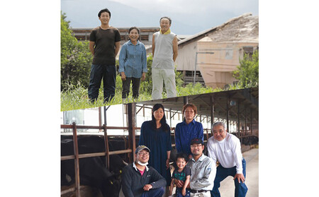 993.【和牛セレブ（6ヶ月定期便）】鳥取県産牛ヒレステーキ2枚×6か月間