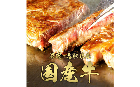 994.【和牛セレブ(6ヶ月定期便)】鳥取県産牛ヒレステーキ4枚×6か月間