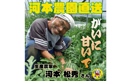 1254.【先行予約】鳥取スイカの食べ比べ！2玉セット（赤肉すいか＆金色羅皇）