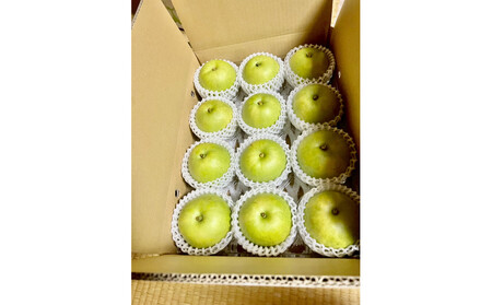 1265.【2026年度発送先行予約】訳あり 二十世紀梨 3kg