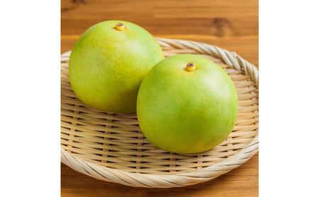 1265.【2026年度発送先行予約】訳あり 二十世紀梨 3kg