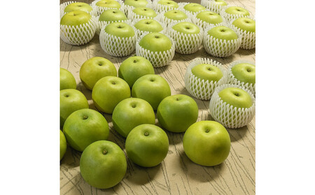 1265.【2026年度発送先行予約】訳あり 二十世紀梨 3kg