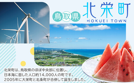 1274.鳥取和牛 サーロインステーキ 150g(1枚)